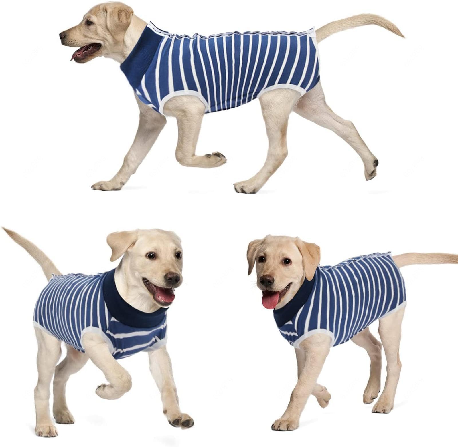 Tuta da recupero per cani - Camicia da recupero per maschio e femmina Tuta da recupero alternativa per intervento chirurgico addominale per cani - Camicia da recupero per maschio e femmina -Vu01,Blu