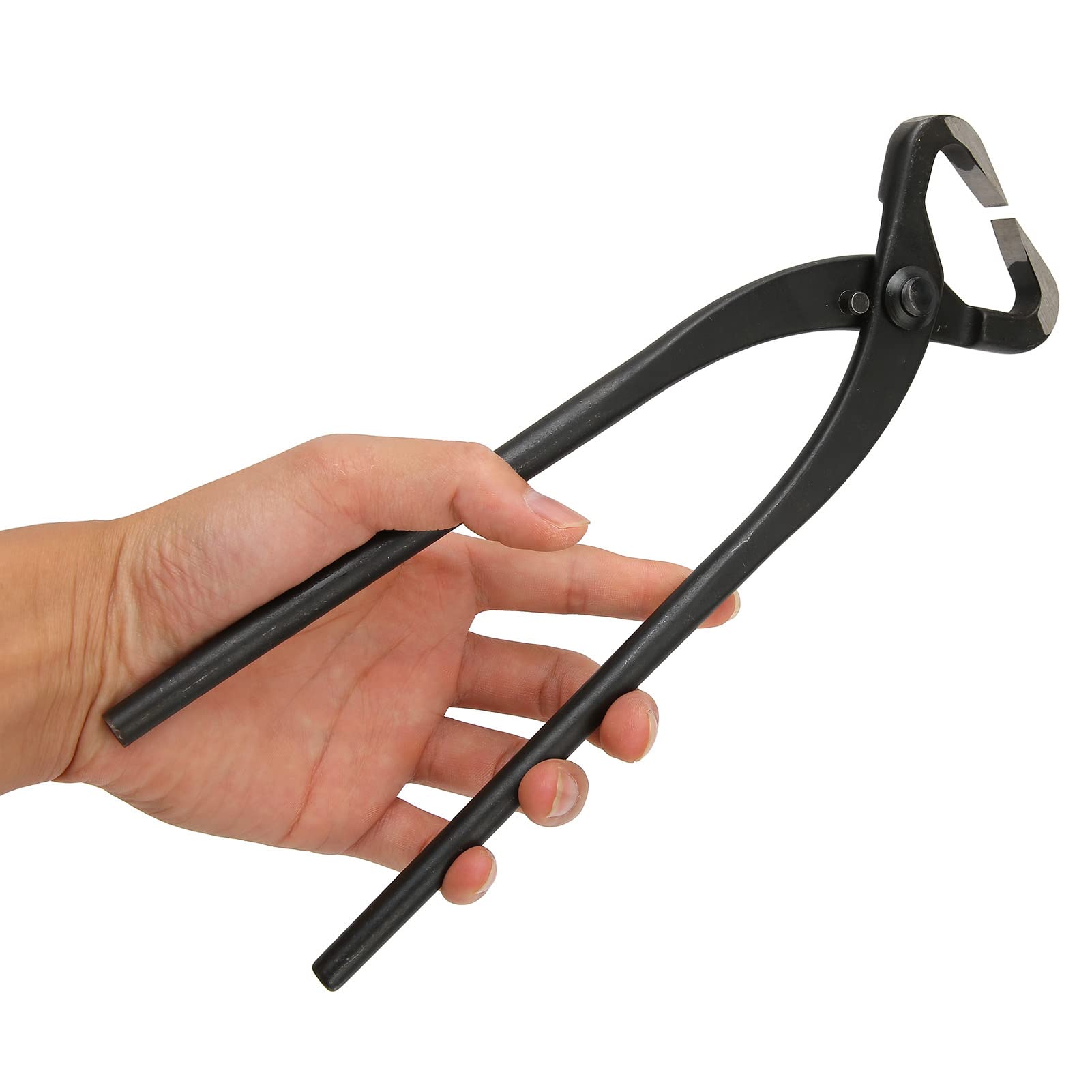 Taglierina per Bonsai da 27 Cm Taglierina per Rami Concavi in ​​acciaio Al Manganese di Alta qualità per Giardinaggio e Bonsai 1 unità
