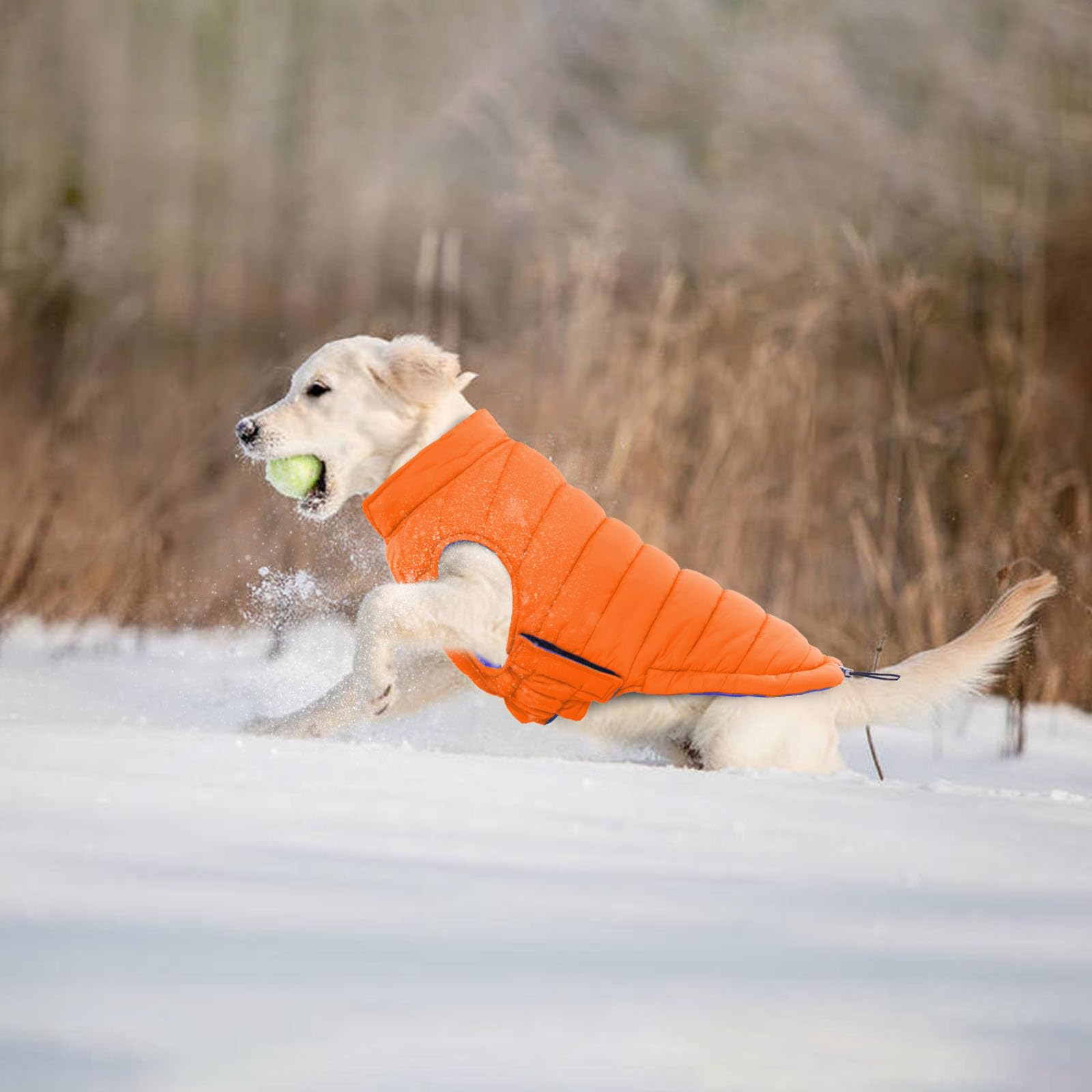 Lelepet Abrigo cálido para perro, abrigo de invierno reversible para perro, chaleco acolchado resistente al viento, chaleco de invierno ligero para perro con adhesivo mágico, abrigo para perros