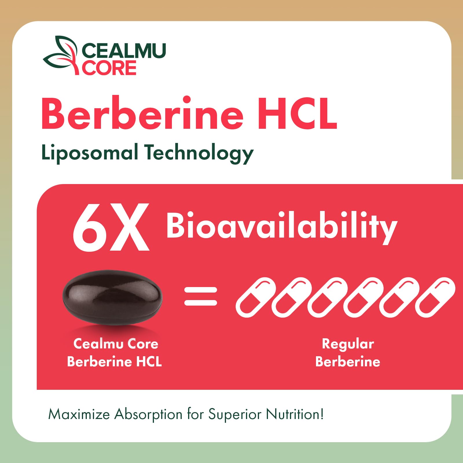 Liposomal Berberine HCL - High Bioavailability Berberines Supplement,1 Pack — Amazon image 7