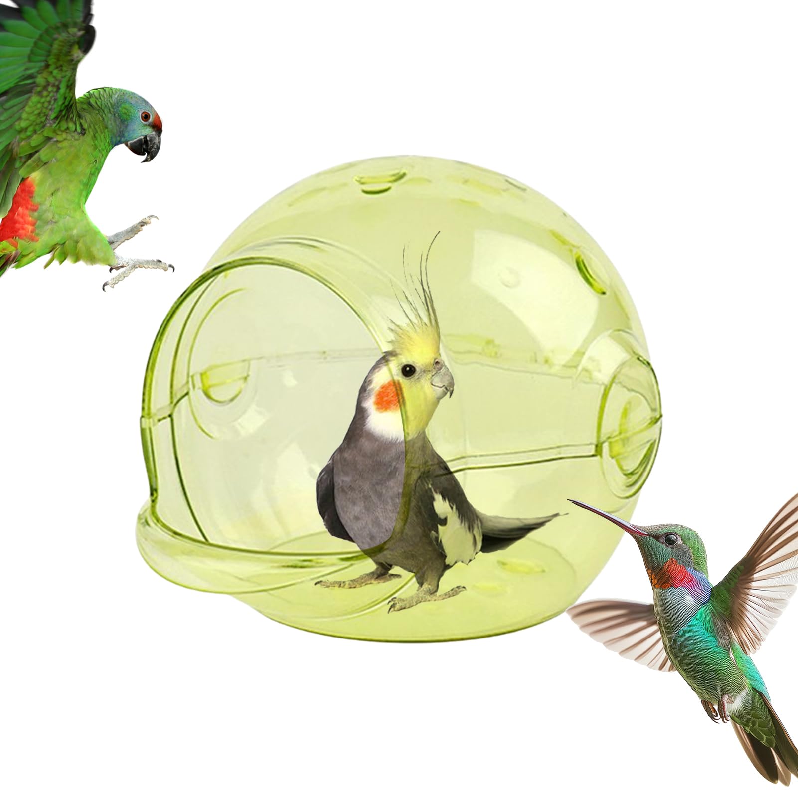 Nichoir pour cage à oiseaux transparent résistant pour surveiller la nidification des perruches