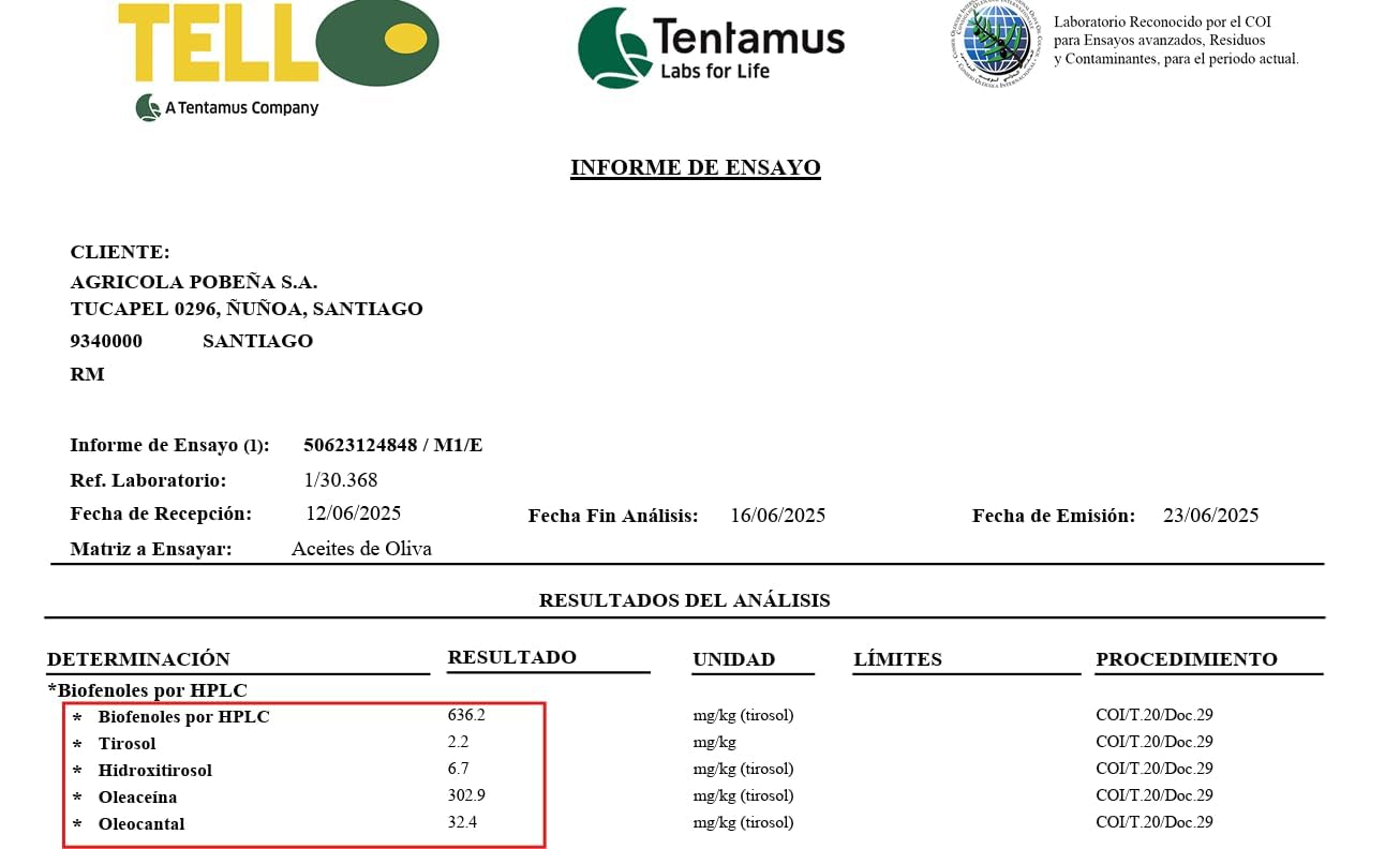 Alonso Extra Virgin Olive Oil , Chilean, High Polyphenol Arbequina 636 mg/kg , Cold Extracted 2025 Harvest, Terra Olivo Gold Medal 2020, Max .2 acidity Family Farm, Chile 5L (169 FL OZ) (Arbequina)