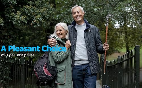 Bastón de madera con palmera, soporte de muleta, madera y latón, hecho a mano, fuerte, resistente, hermoso bastón de madera con ilustraciones