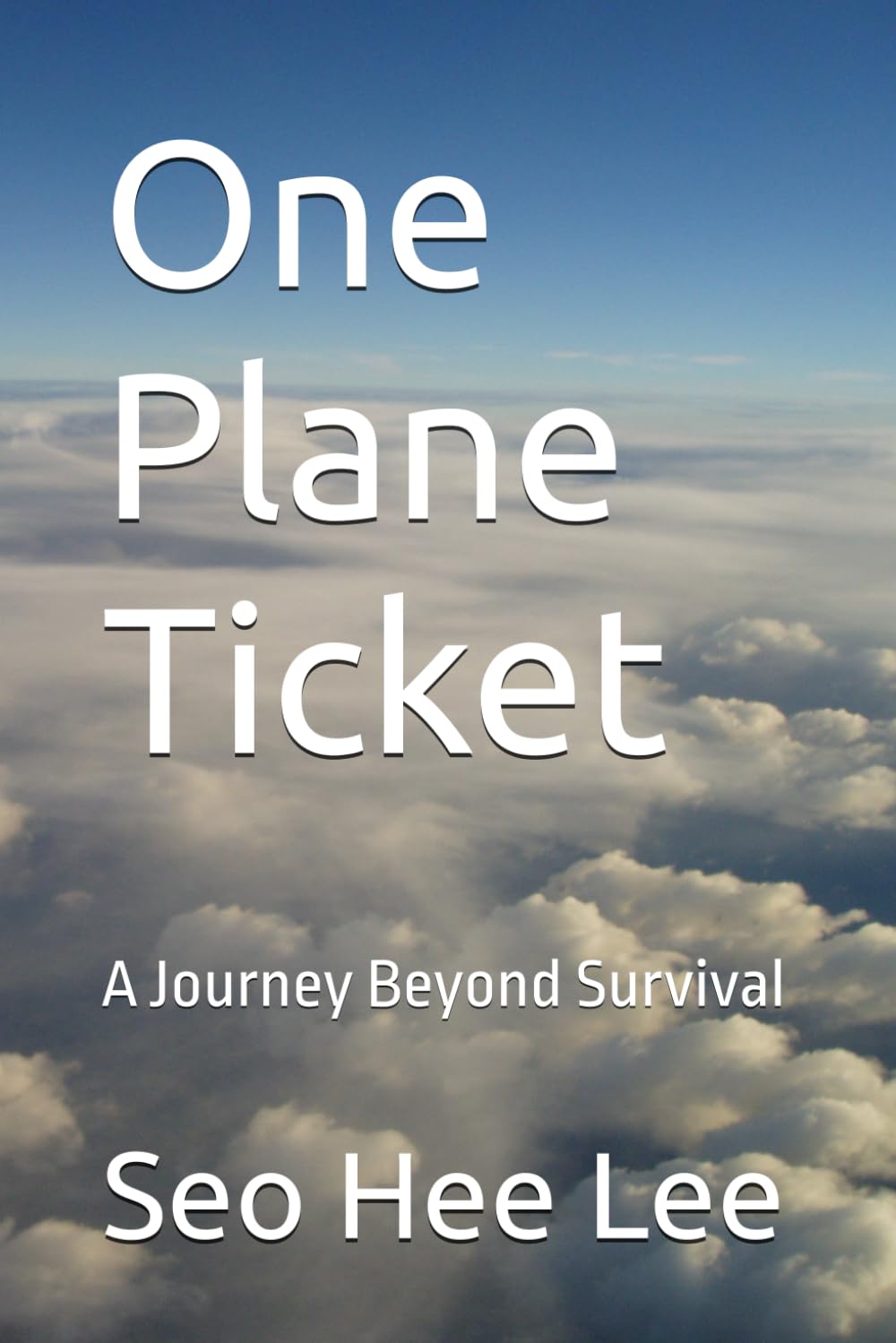 One Plane Ticket: A Journey Beyond Survival