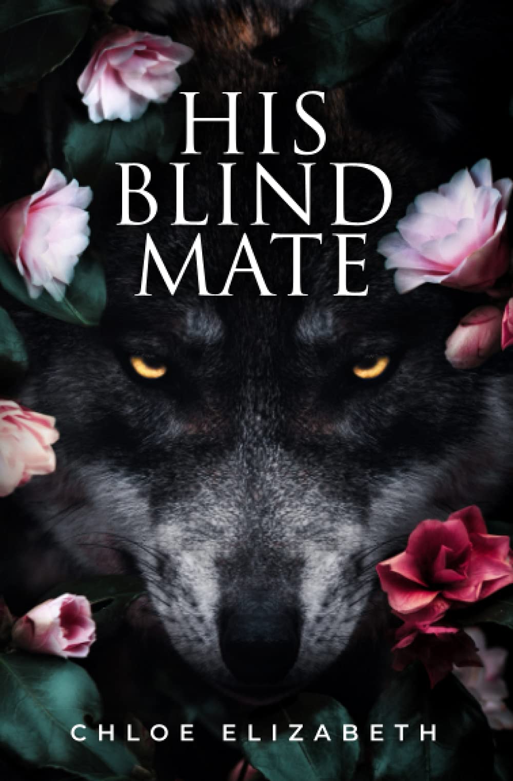 His Blind Mate (Nightwatch Pack)