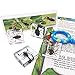 WhizKidsLab 4PZAS Juego Insectos Reales Resina Arácnido Espécimen Stem Set Bichos Lupa Póster Datos Curiosos