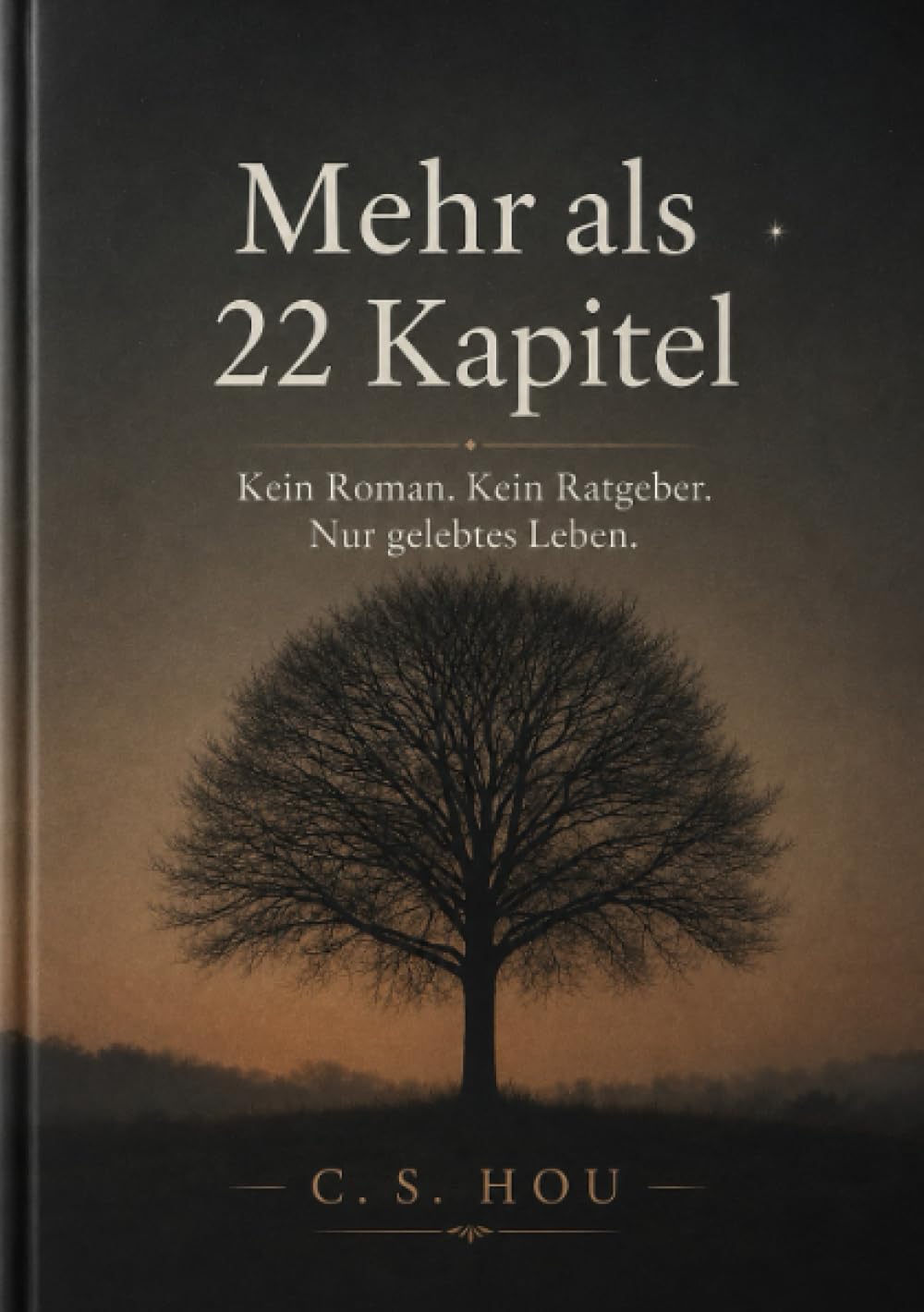 Mehr als 22 Kapitel: Kein Roman. Kein Ratgeber. Nur gelebtes Leben.
