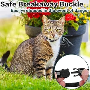 Airtag Cat Collar Breakaway, Reflective Kitten Collar with Apple Air Tag Holder and Bell for Girl Boy Cats, 0.4 Inches in Width and Lightweight(Black) Airtag Cat Collar Breakaway Reflective Kitten Collar with Apple Air Tag Holder and Bell for Girl Boy Cats 04 Inches in Width and LightweightBlack