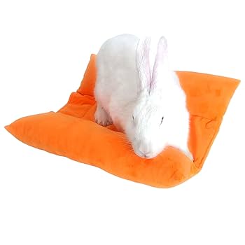 クッション・座布団 katie BABY BUNNY SHOWER pillow cushion 71mPpzgGU2L._UF1000,1000_QL80_.jpg