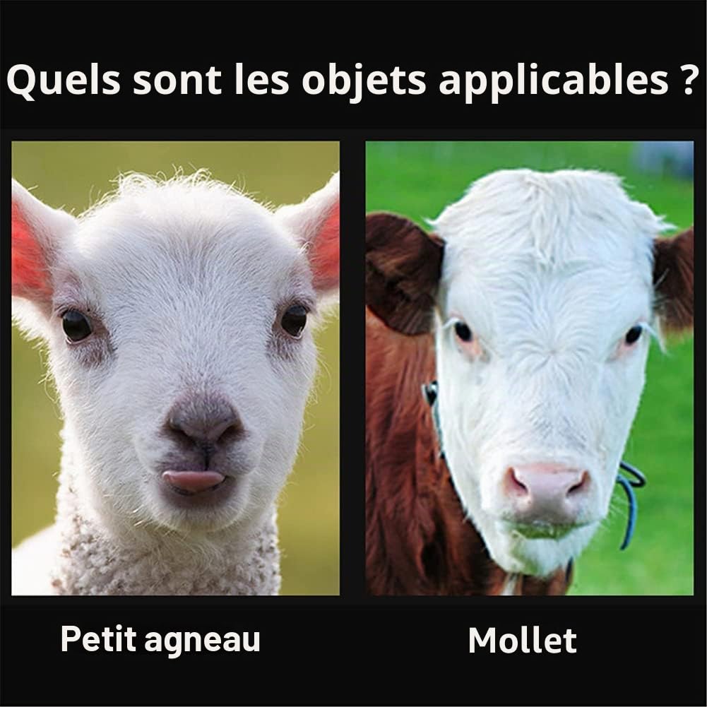 WOERD électrique Écorneur De Veau, écorneur De Corne électrique, sans Sang Écorneur électrique Spécial De Tête De Cuivre, écorneur De Tête De Bétail Outil pour Bovins De Chèvre