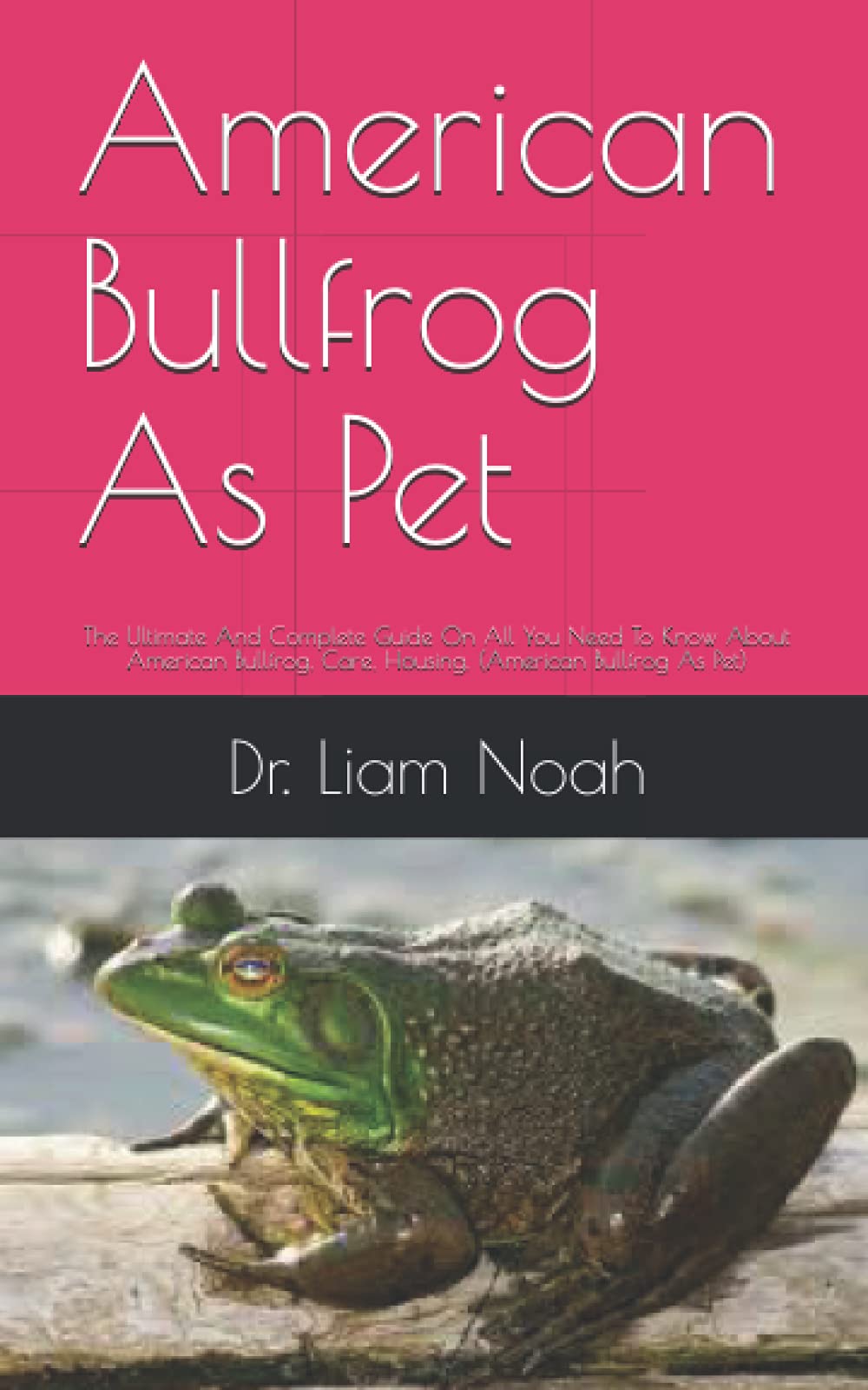 Buy American Bullfrog As Pet The Ultimate And Complete Guide On All