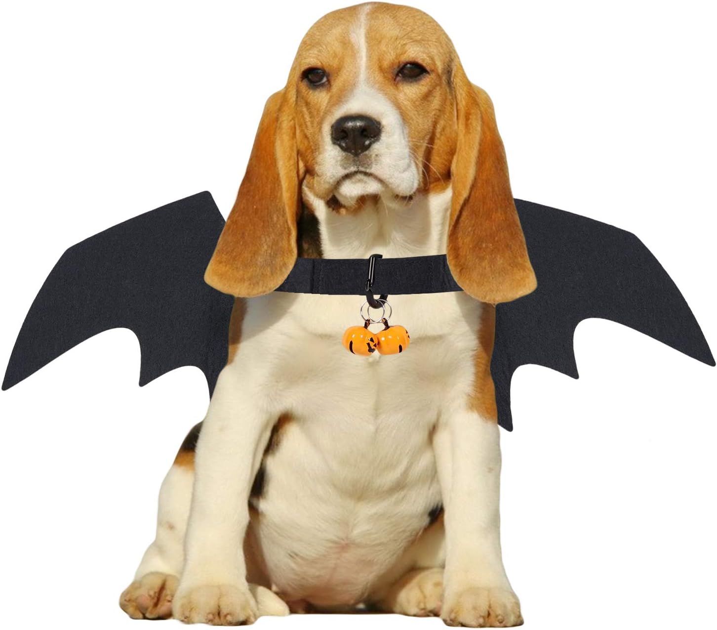 Funparty Pet Cat Bat Wings for Halloween Party Decoration, Puppy Collar Leads Cosplay Bat Costume,Cute Puppy Cat Dress Up Accessories (M)