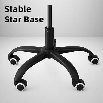COZYBRITE Office Desk Chair Ergonomic with Back Lumbar Support Height Adjustable Padded Armrest Computer Swivel Mesh Chairs for Home Office