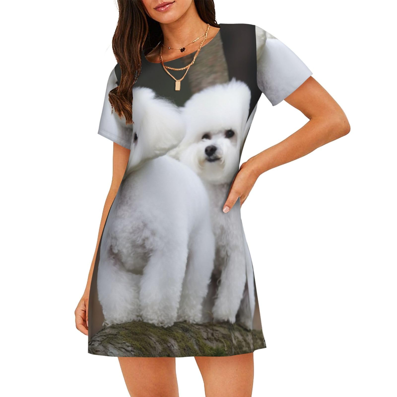 Lhdgbnv Unisex Black Womens Cotton Nightgowns, Bichon Frise Short Sleeve Sleepwear For Women Soft Pajama Dress Sleepshirt Nightshirt, Medium
