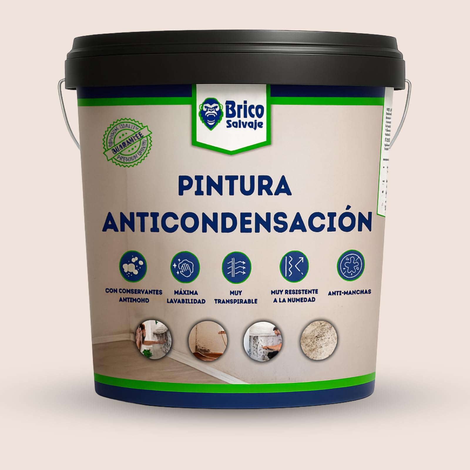 Pintura Anticondensación y Antihumedad para Interior-Exterior | Aislante Termico | Conservantes Antimoho (BEIRUN, 14 Litros)
