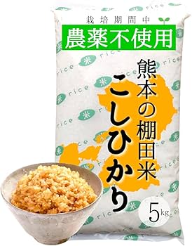 Amazon.co.jp: 無農薬 玄米 コシヒカリ 熊本県産 新米 無洗米