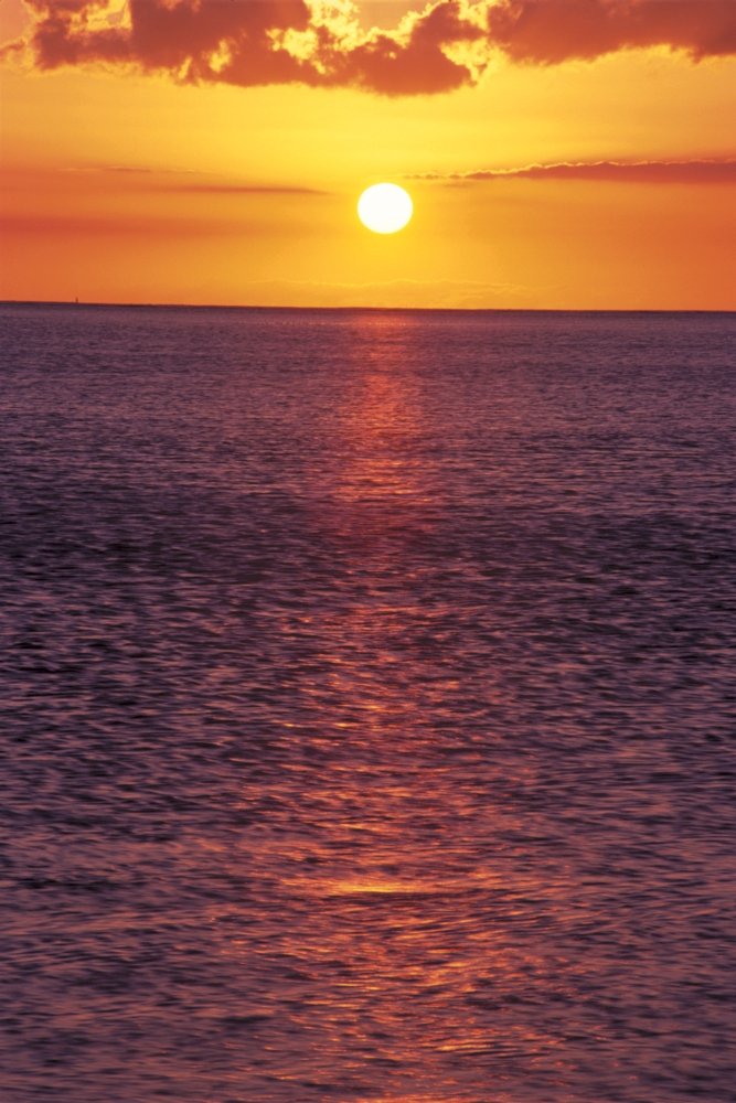 Amazon.com: Posterazzi Golden Sun Ball Sunset With Orange Sky Over
