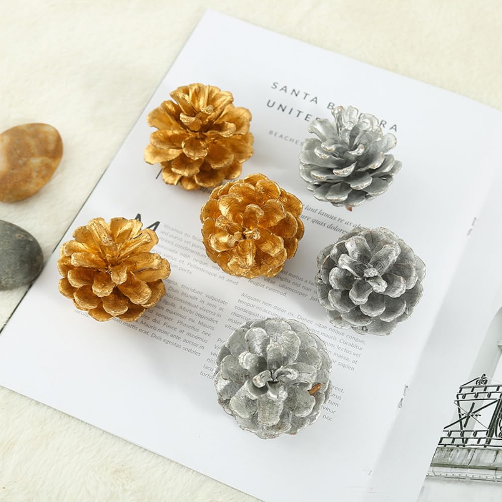 24 Stück 9-12cm Weihnachts Kiefernkegel,Pine Cones Dekoration Zapfen,Natürliche Tannenzapfen Kiefernzapfen für Adventskranz Tischdeko Christbaumschmuck Winterdekoration,Silber A