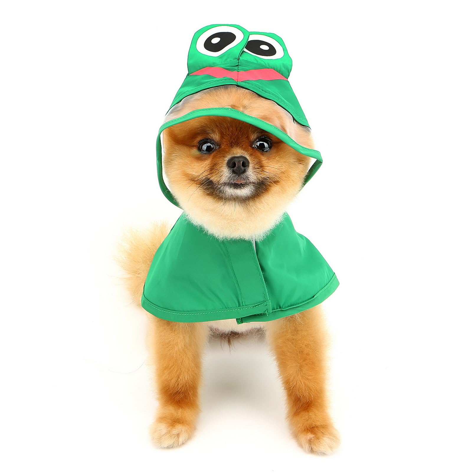 SMALLLEE_LUCKY_STORE Cute Frog Dog Raincoat with Clear Hood and