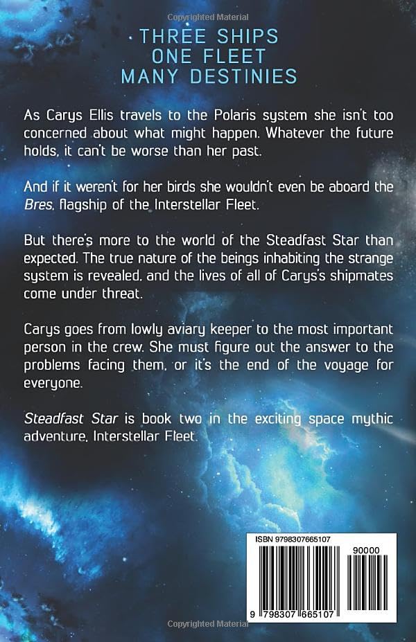 Steadfast Star (Interstellar Fleet) - Image 2