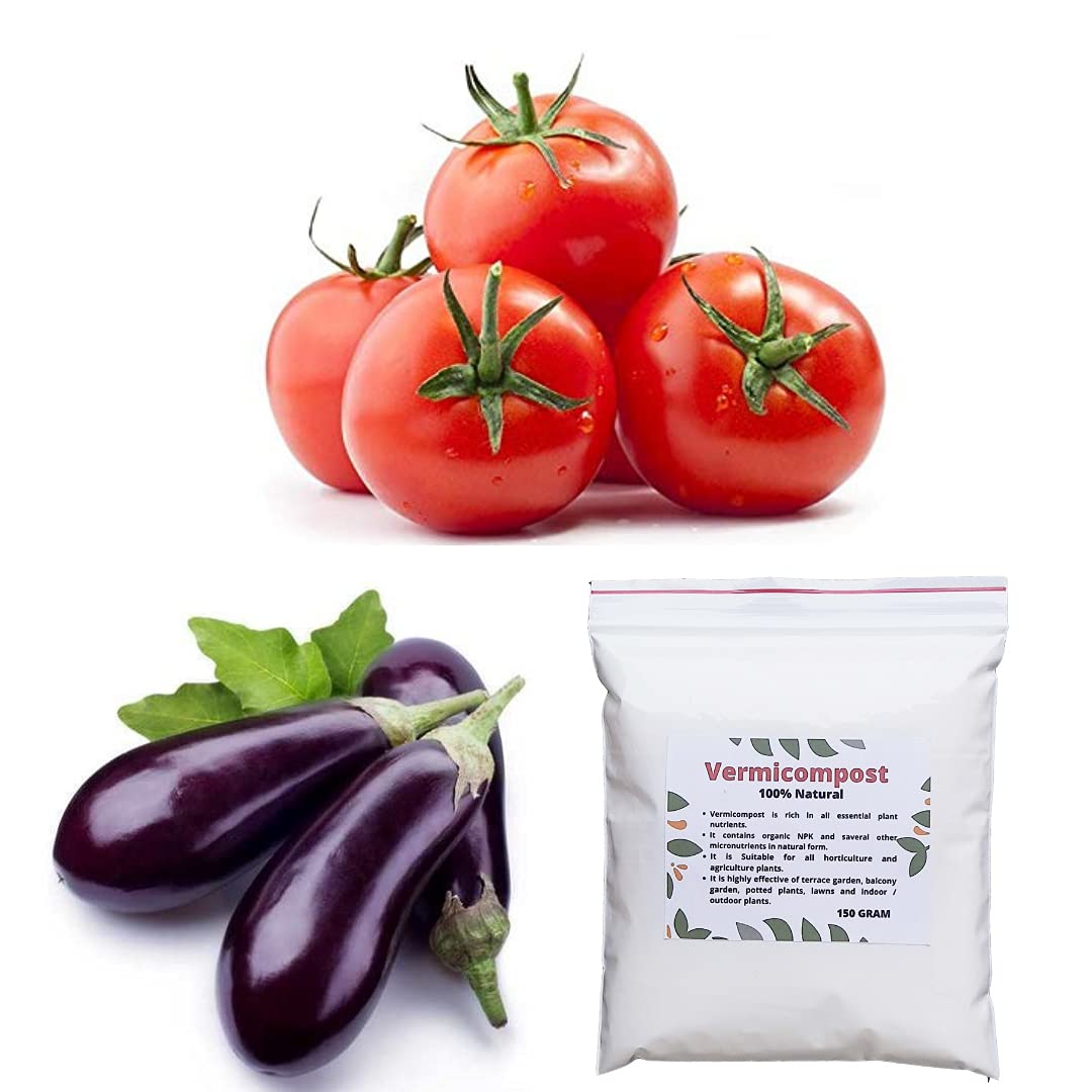 Navya Agriallied Combo Pack of Desi Brinjal Purple and Tomato ( 40 Quantity each ) Vegetable Seeds, Vermicompost (150 Gram) Organic Fertilizers for Home and Kitchen Garden (B0994TTN1H) Amazon Price History, Amazon Price Tracker