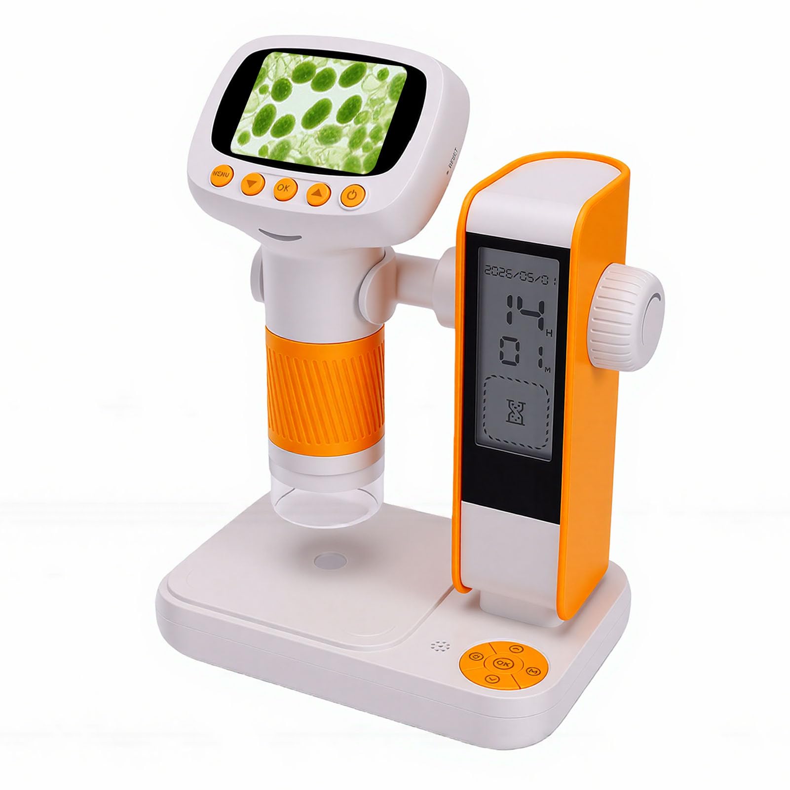 Microscopio per Bambini, Microscopio Digitale Portatile con Ingrandimento da 50X a 1000X con Schermo a Colori e 8 Luci LED Regolabili, Compatibile con PC USB per Ragazzi e Ragazze Dai 3 Anni
