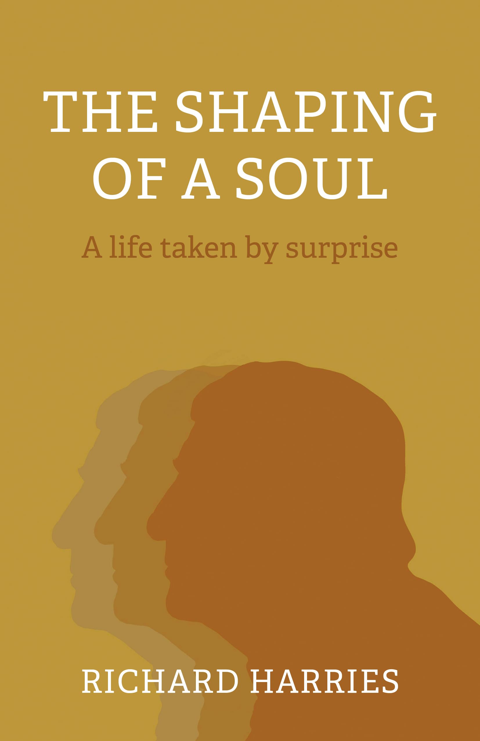 Shaping of a Soul, The by Richard Harries - 9781803411620