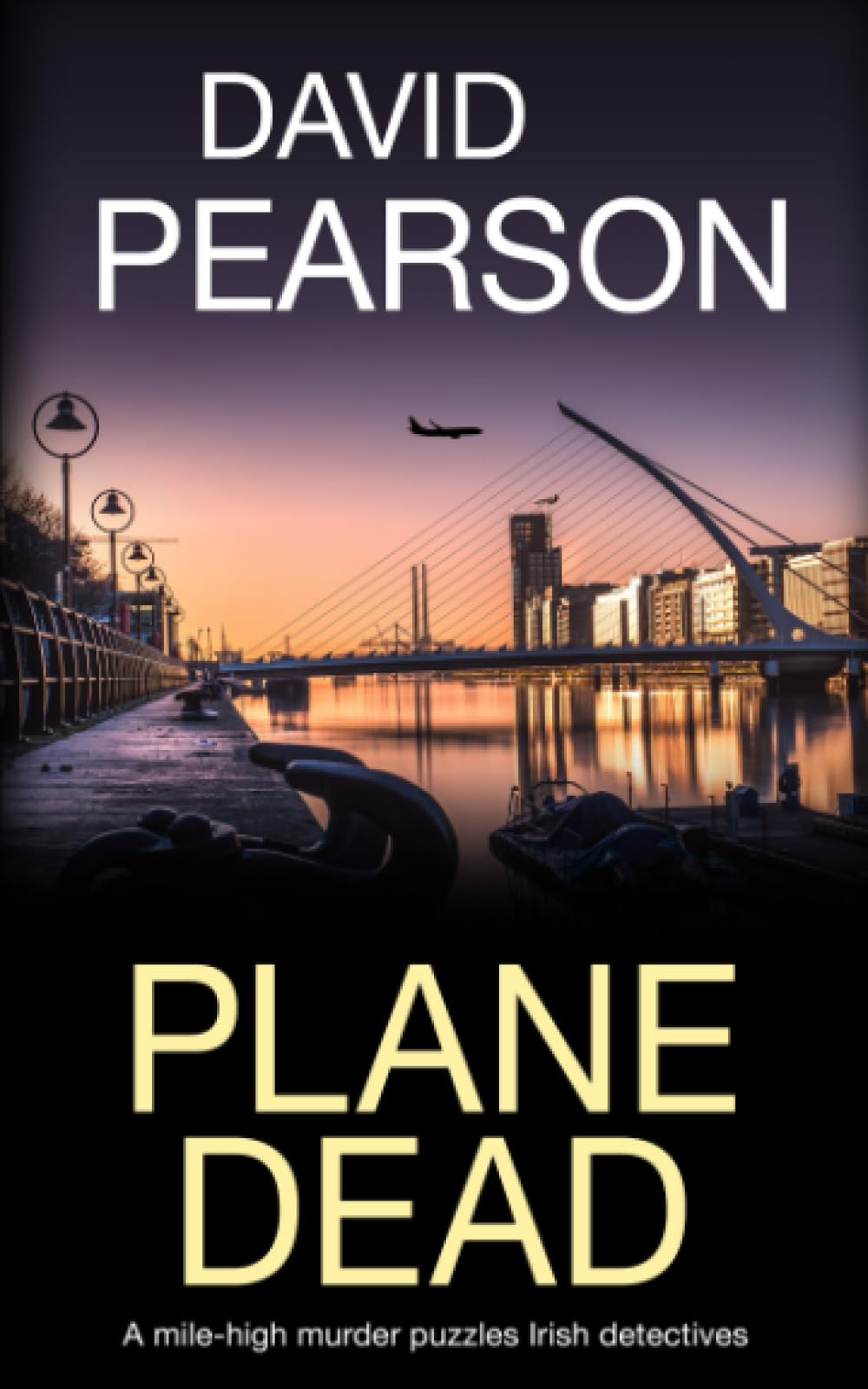 Plane Dead: A mile-high murder puzzles Irish detectives (The Dublin Homicides)
