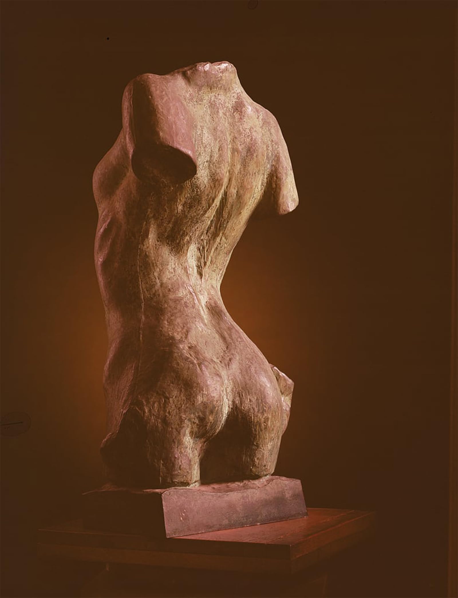RZHRHJES Vintage Wall Art Picture on Canvas Wall Art Poster Torso of a Young Woman by Auguste Rodin Canvas Poster for Home Decor 60x90cm