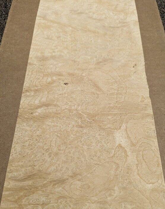 Ash White Burl Wood Veneer 7" x 16" raw no Backing 1/42" Thickness A Grade