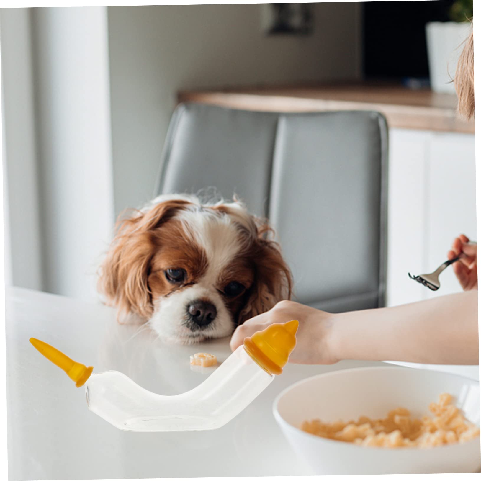 POPETPOP 4 Set per Animali Domestici Neonati Tettarelle Multifunzione per Gatti Sicure per Gatti Alimentatore per Gatti