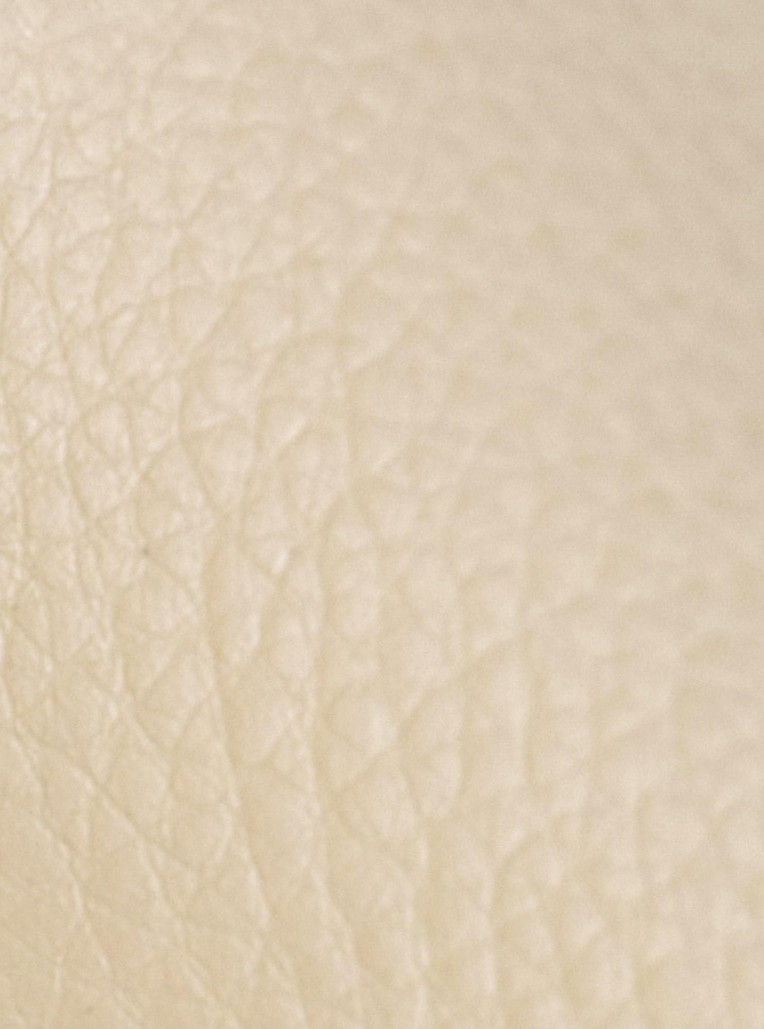 CLP 2er Set Esszimmerstuhl Foley Mit Kunstleder- Oder Stoffbezug I Küchenstuhl Mit Armlehne Und Holzgestell, Farbe:walnuss/Creme, Material:Kunstleder