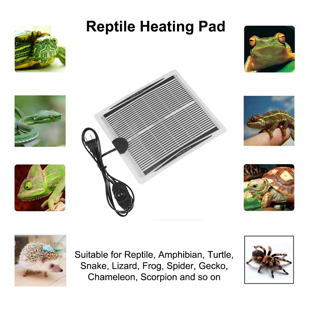 Reptile Heating Pad, 110V 15W Rapid Heating Under Tank Heat Mat Warmer Mat Terrarium Heating Pad with Temperature Control for Turtle, Snake, Lizard, Frog, Spider, Gecko, Chameleon by Giveme (15W)