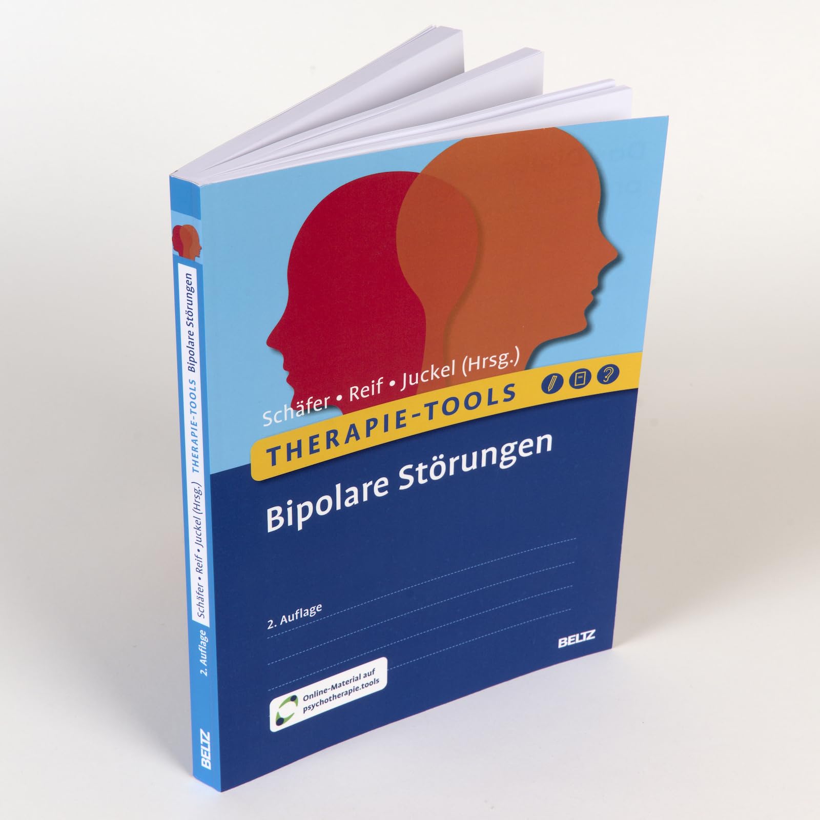 Therapie-Tools Bipolare Störungen: Mit Online-Material (Beltz Therapie-Tools)