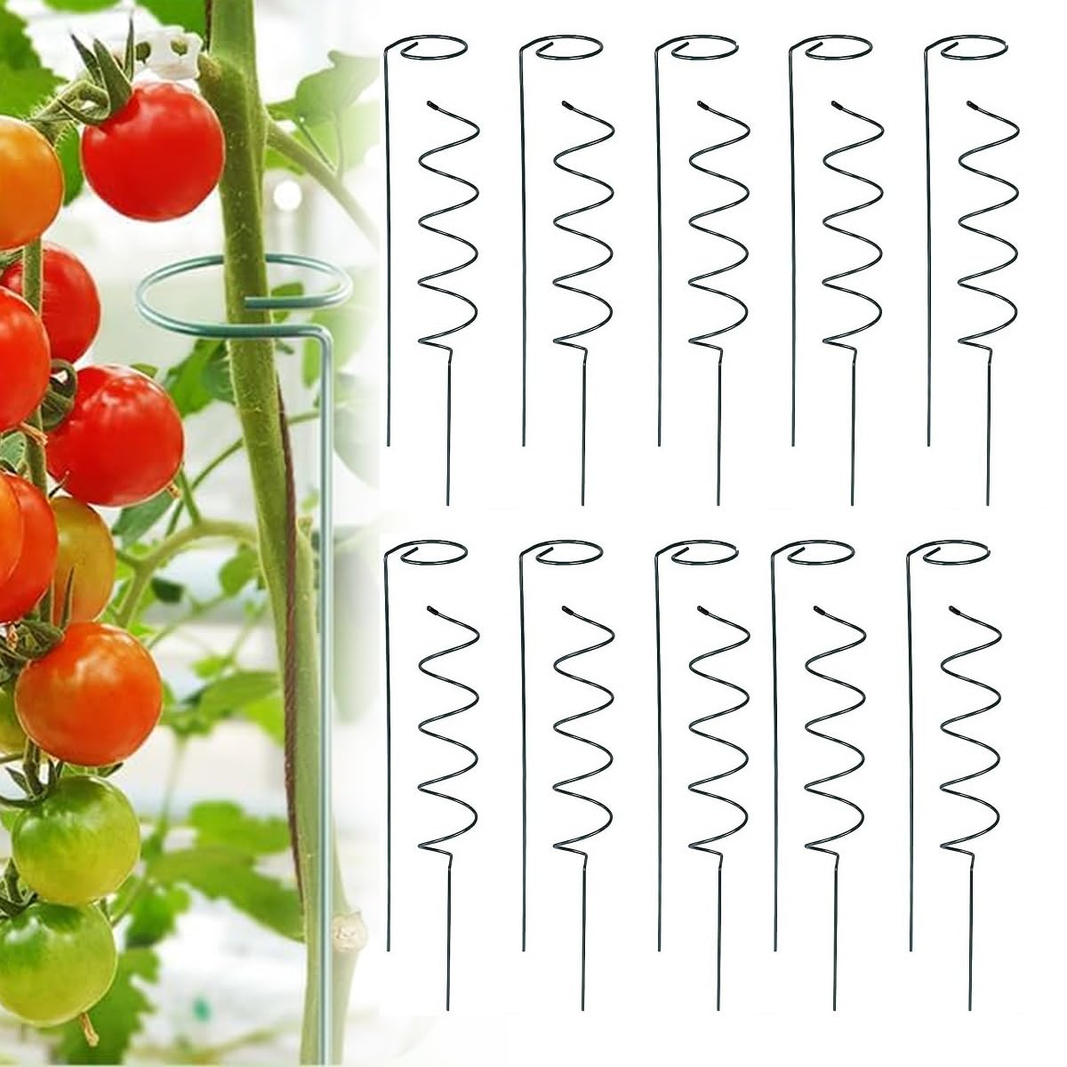 Lot de 10 tuteurs de plantes en spirale pour tomates et rosiers grimpants, piquets en spirale pour vignes, treillis de jardin pour plantes, tuteurs de plantes lourdes