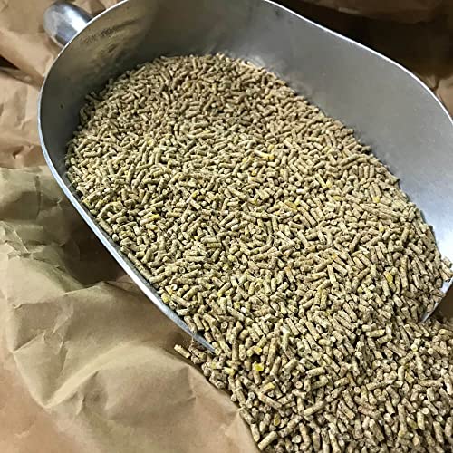 Wachtelkorn 4 kg | GVO-frei | ohne Gentechnik | Alleinfutter für Legewachteln | Wachtelfutter