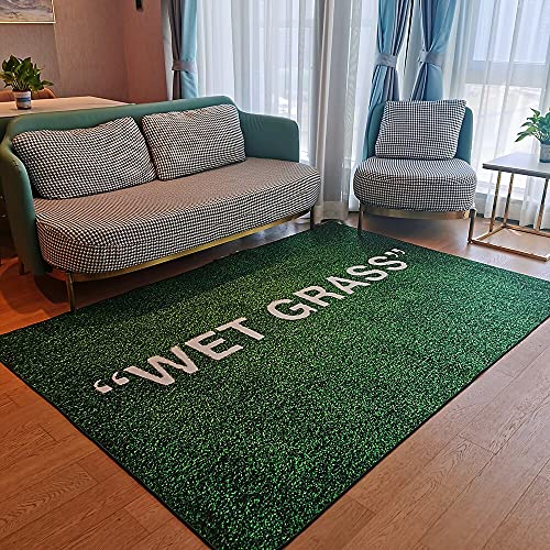 Dovipe,Carpet Wet Grass Rug Carpet Living Room Decoration Carpet Bedroom Bedside Bay Window Area Rugs Sofa Floor Mat Rugs(23.62 Inx35.43 In),Green(Z221204) #TOP3