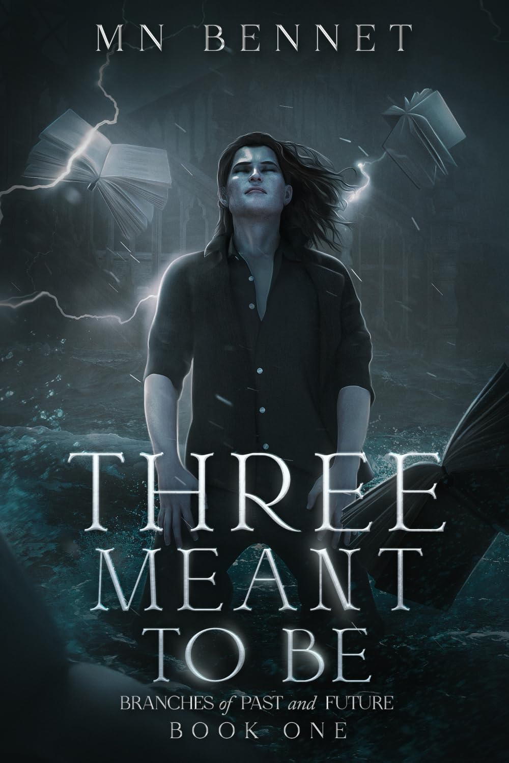 Three Meant To Be: Branches of Past and Future Book One