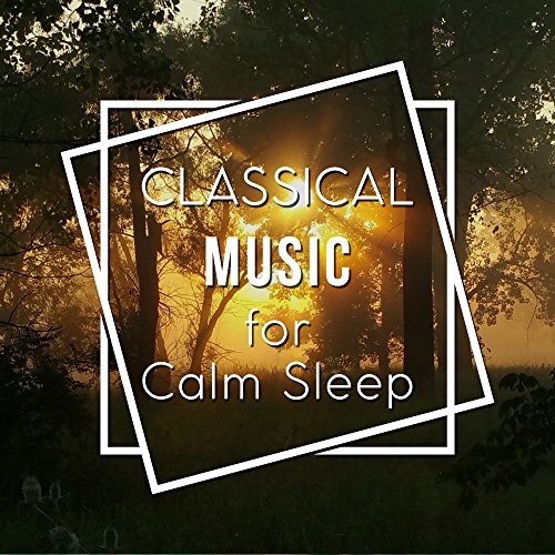 Classical Music for Calm Sleep Rest with Tchaikovsky