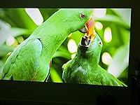 Review Image by SUBHAMOY DAS