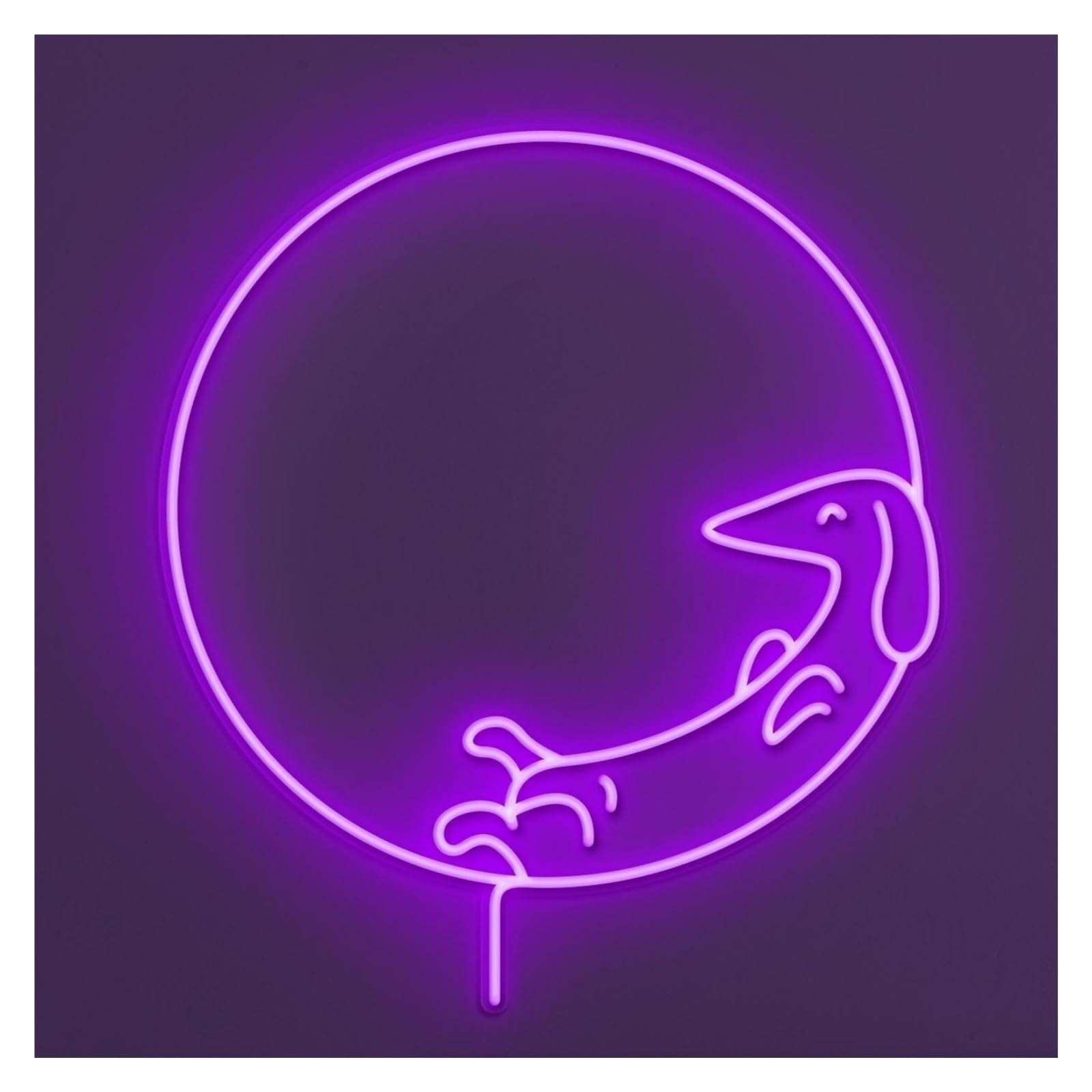 RONGCH Hanging Art Signs Dachshund Dog Neon Sign, Suitable for Home Wall Decor with Brightness Adjustable 50cm