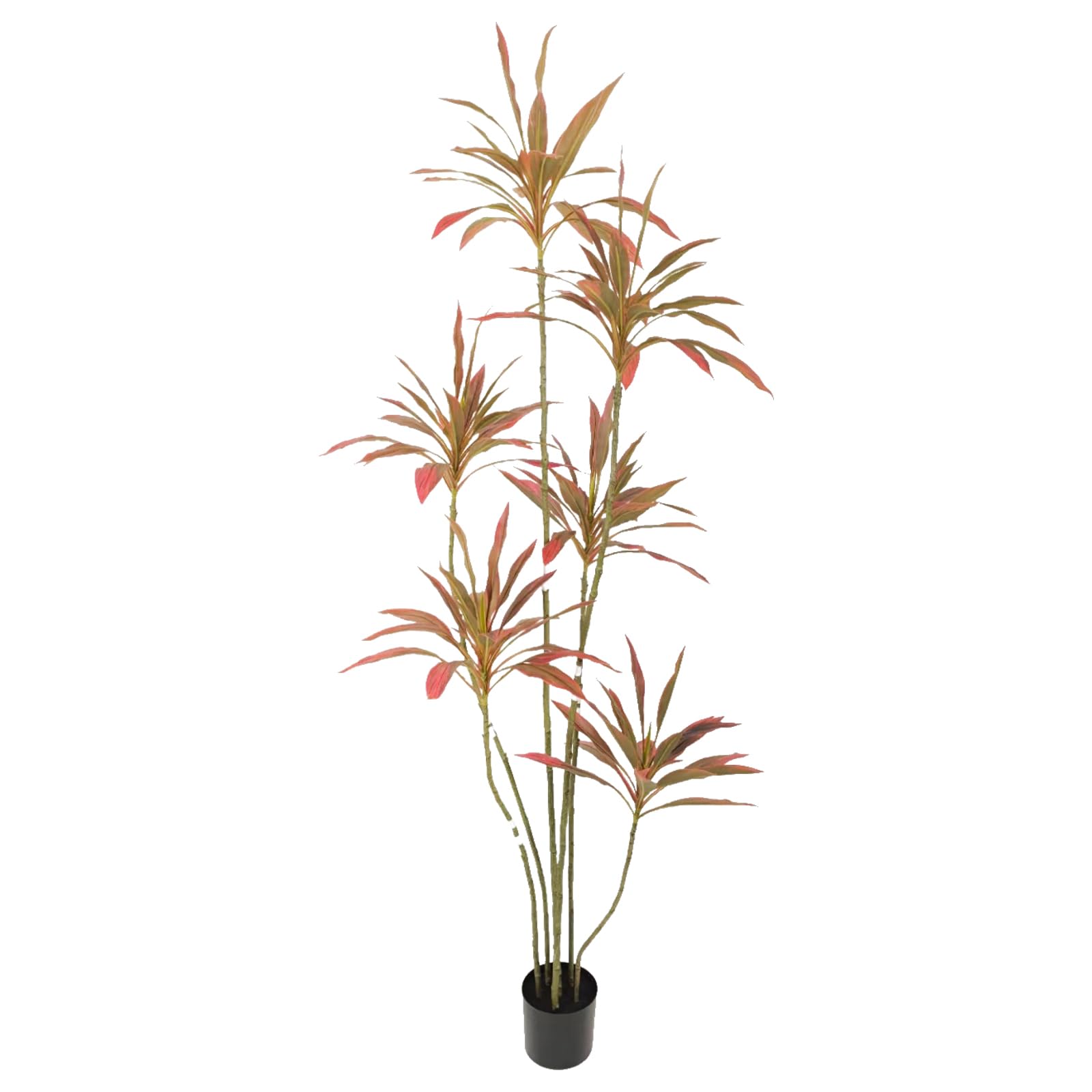 AfanD Artificial Cordyline 7ft