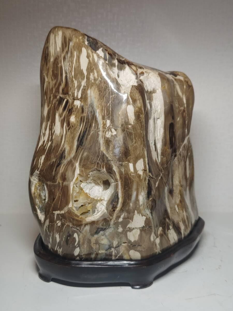 木化石 ◇15.8kg◇ 珪化木 碧玉 ジャスパー 瑪瑙 メノウ 原石 鑑賞石 自然