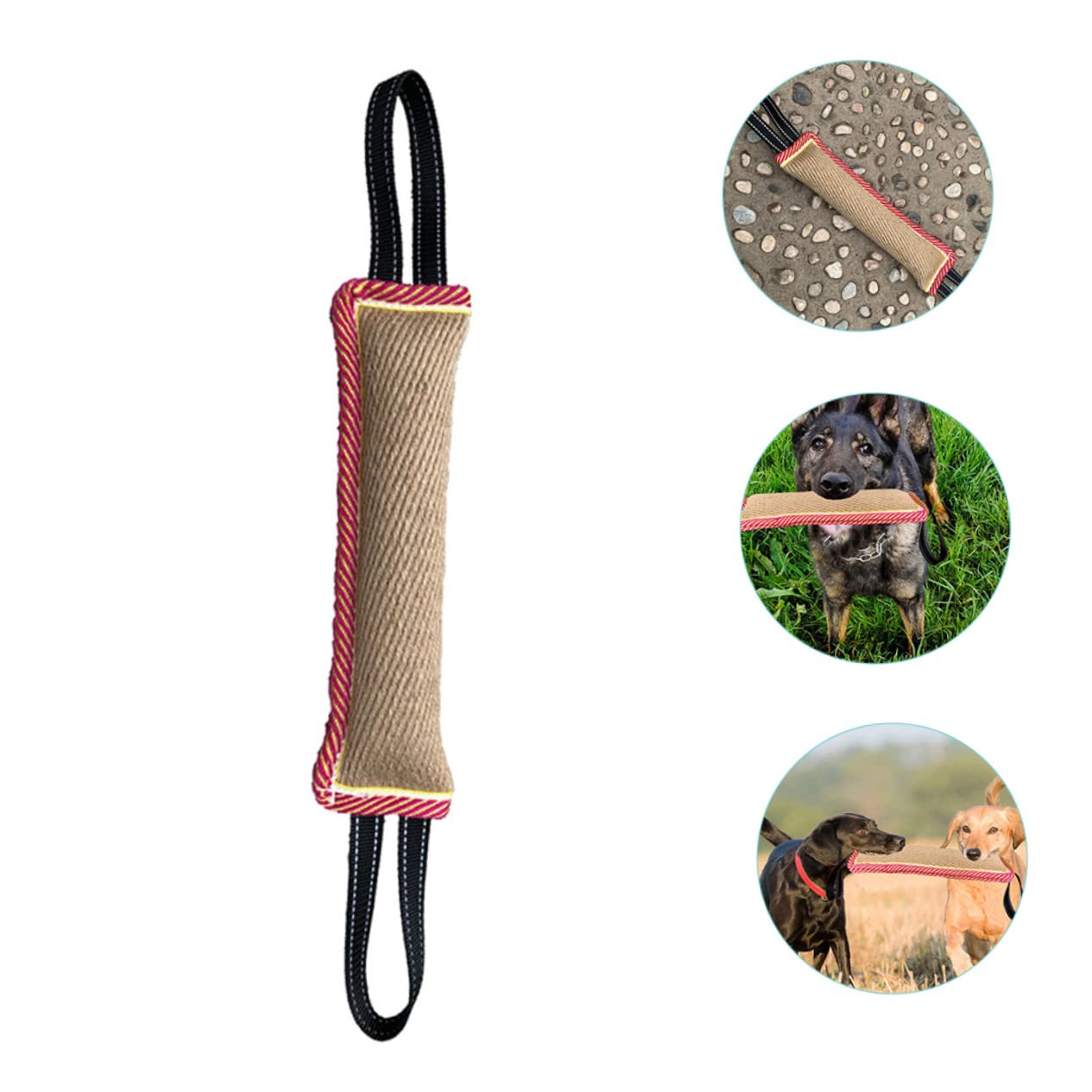 Sosoport 2pezzi Giocattolo Interattivo Per Cani Molar Morsetto Per Addestramento e Masticazione Resistente e Sicuro Per Allenamenti All Aperto e Giochi Di Masticazione Per Pet Dog