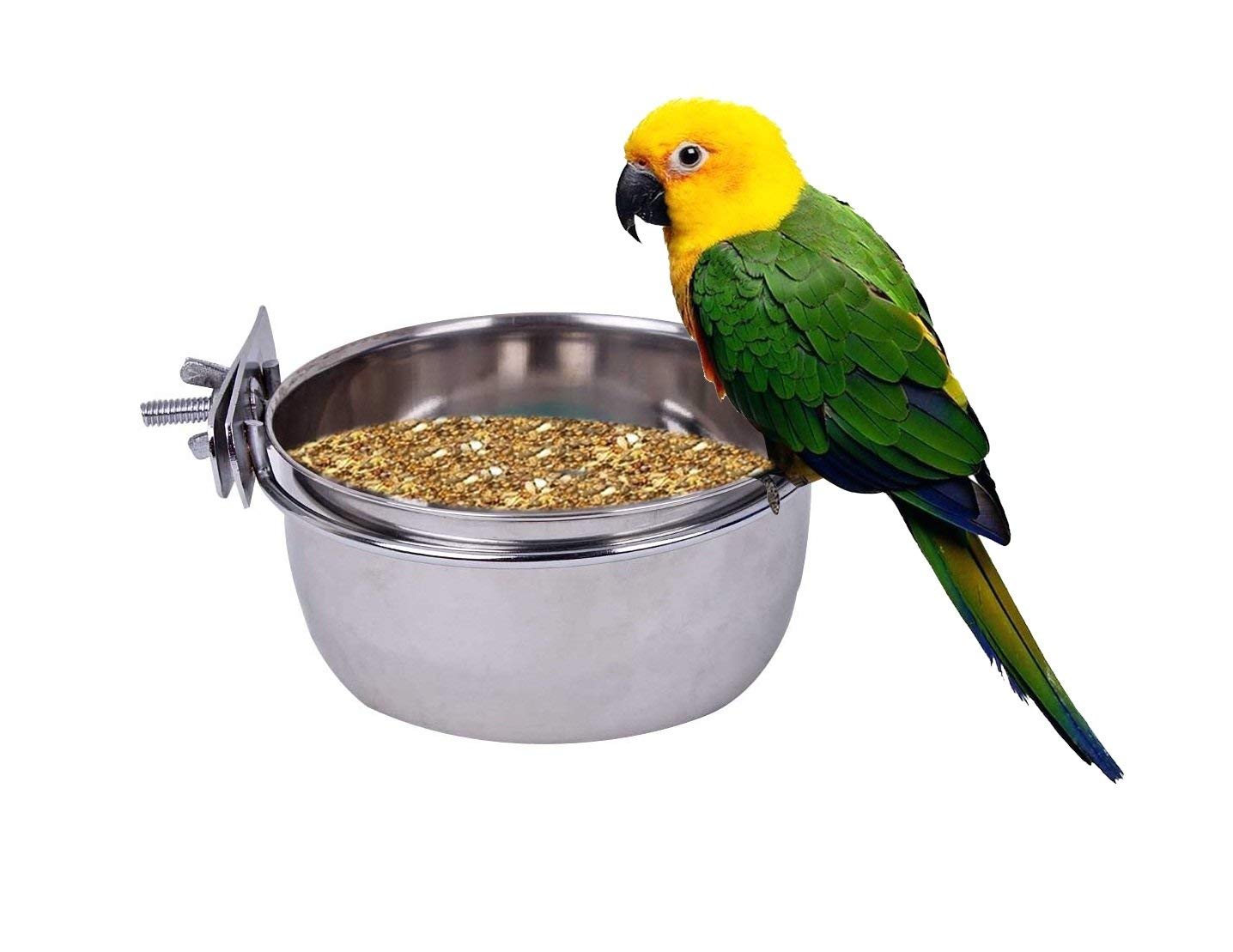 Sage Square Stainless Steel Rustproof Cage Food, Seed, Water Feeder Cum Bowl with Hook/Holder for Bird - No Spill No Mess (200ml) (1 Piece) (B07RKP84RW) Amazon Price History, Amazon Price Tracker