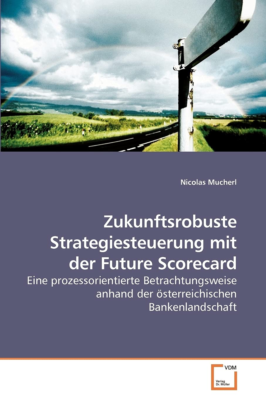Zukunftsrobuste Strategiesteuerung mit der Future Scorecard: Eine prozessorientierte Betrachtungsweise anhand der österreichischen Bankenlandschaft (