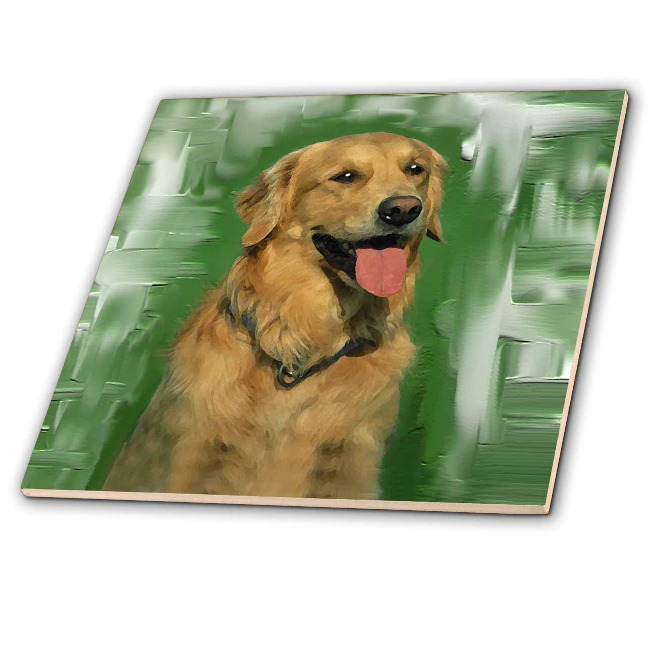 Amazon.co.jp: Dogs golden retriever – ゴールデンレトリバー