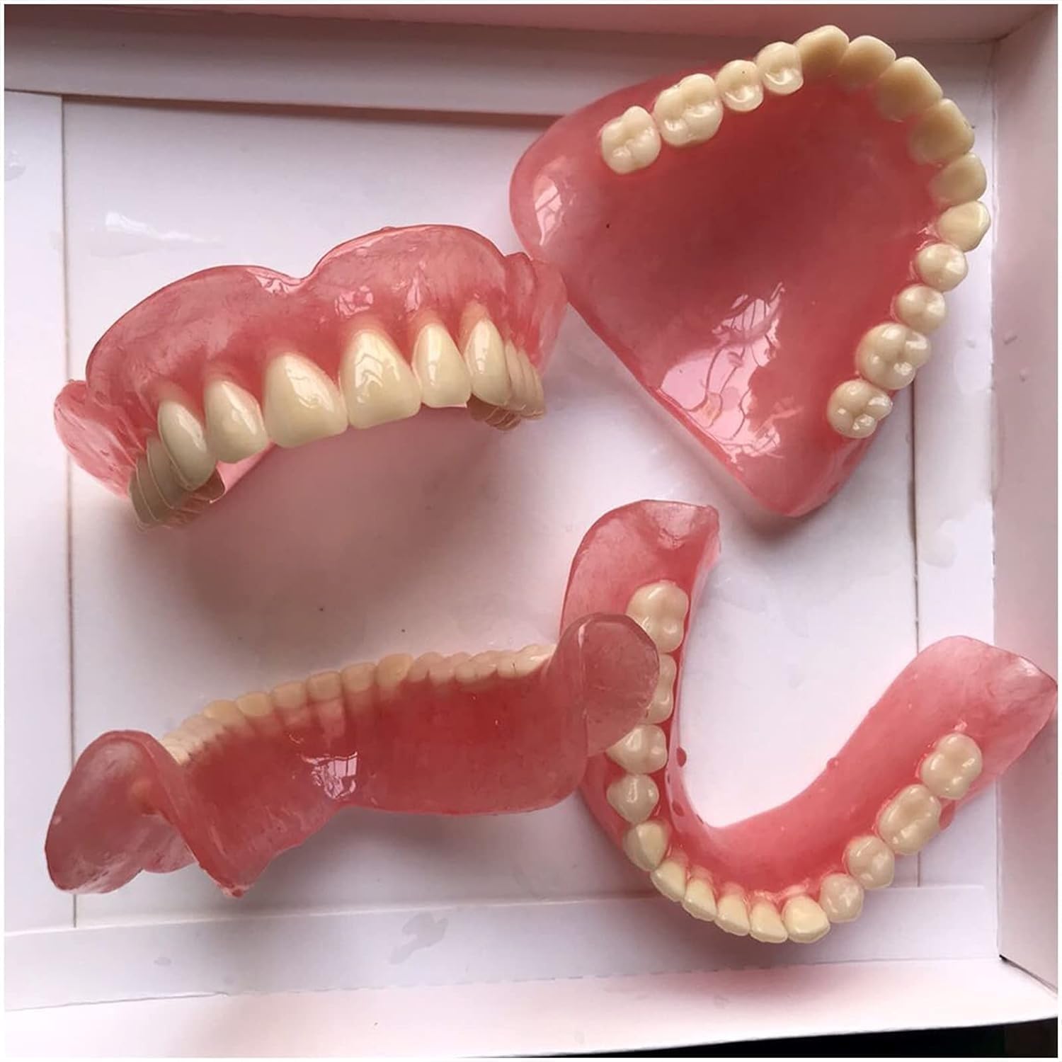 Modello di dente per l'insegnamento, strumento dimostrativo per denti superiori e inferiori, per bambini e studenti di odontoiatria, modello anatomico della bocca per studio e pratica