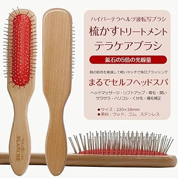 テラケアブラシ 楽天市場】【正規販売代理店】BLANCHE ブランシュ テラ