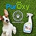 PurOxy 32oz Pet Stain & Odor Eliminator - 2 Pack